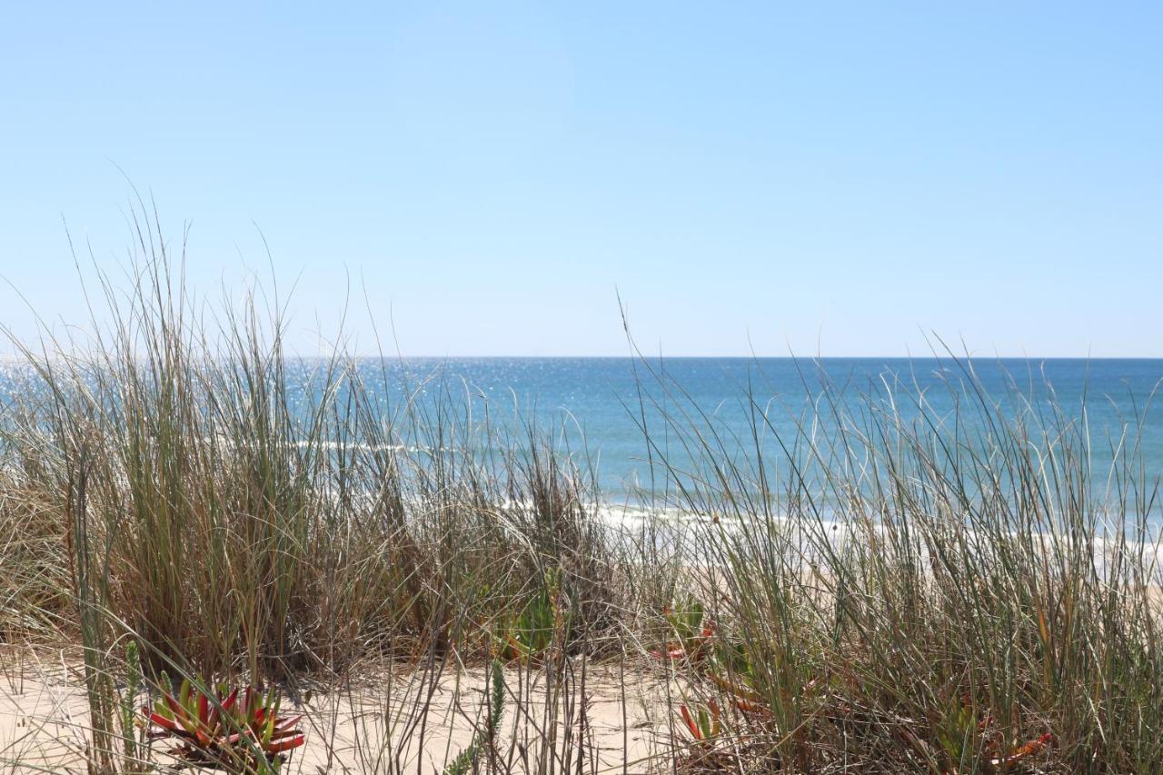 Green Element Guesthouse Costa da Caparica Bagian luar foto