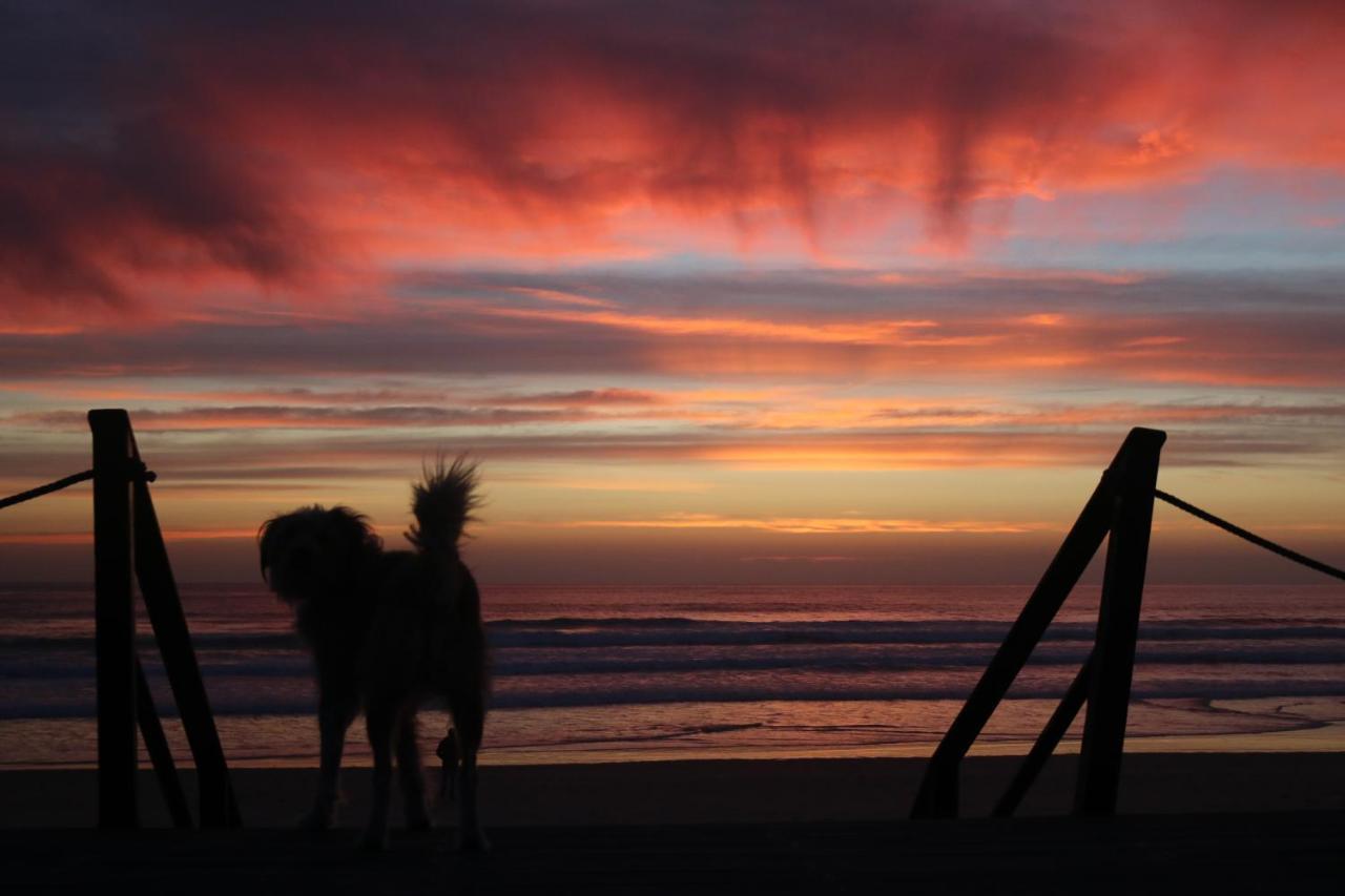Green Element Guesthouse Costa da Caparica Bagian luar foto