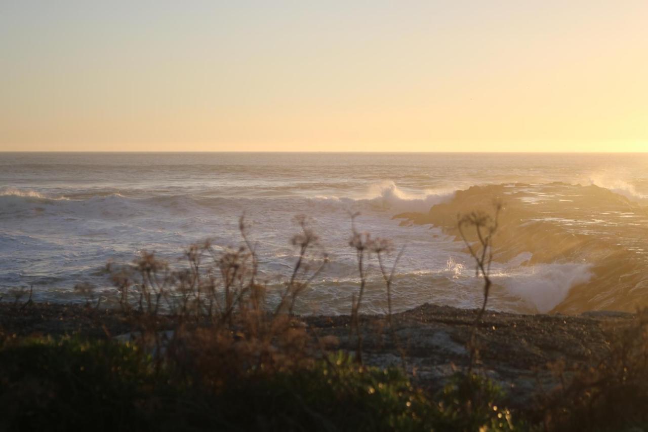 Green Element Guesthouse Costa da Caparica Bagian luar foto