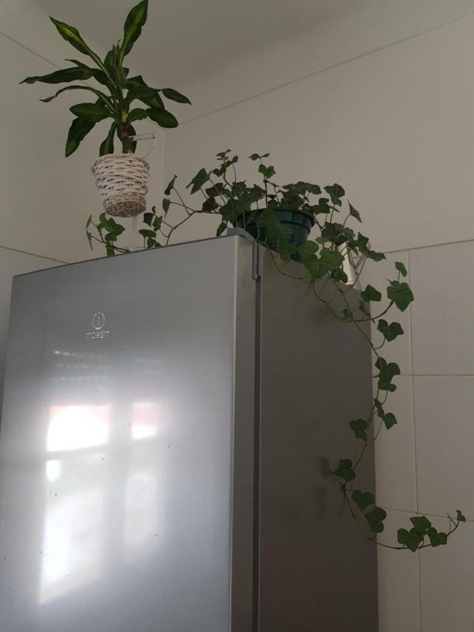 Green Element Guesthouse Costa da Caparica Bagian luar foto